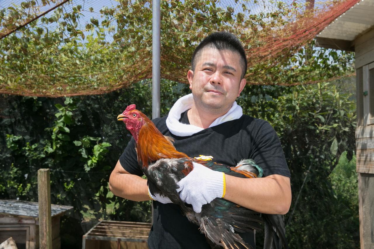 Sazareishi Takashima Nobeoka Ngoại thất bức ảnh